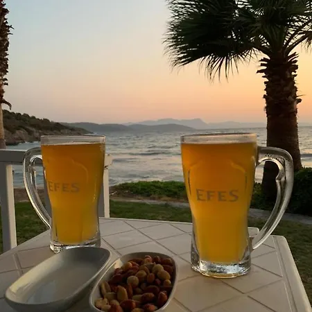 Bodrum Dream 빌라 Milas